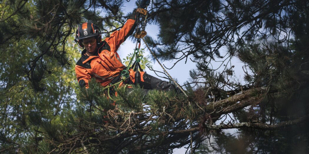 First Female Chainsaw Operators Make the Cut at Knysna Municipality ...